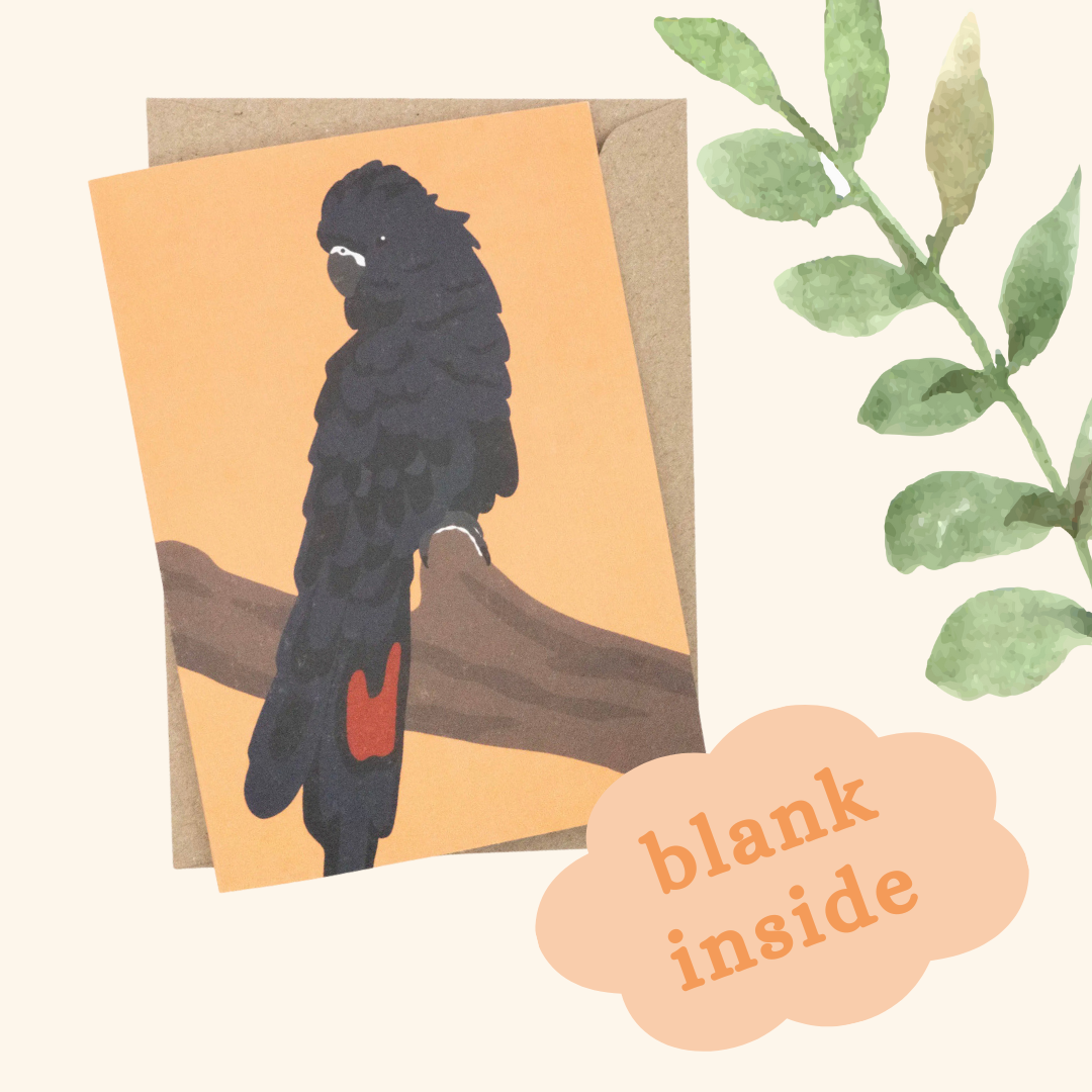 Red-Bellied Black Cockatoo Card (Orange)