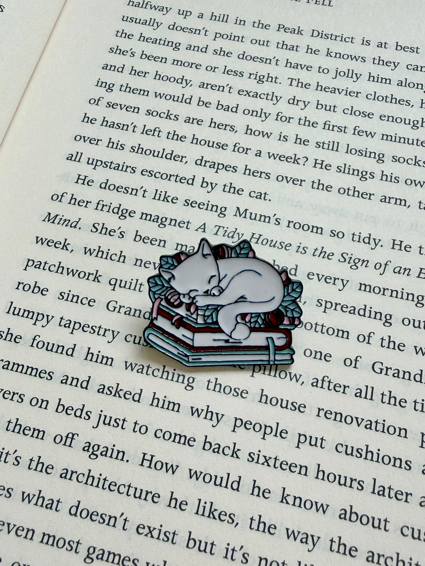 'cat on books' pin / badge